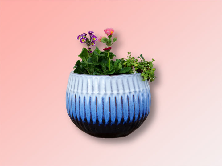 Medium Luna Blue Glazed Planted
