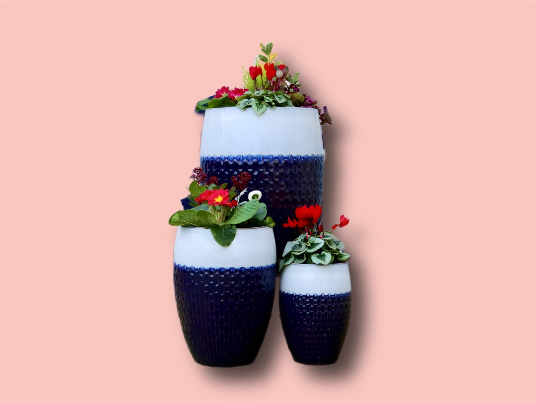 Kimi Planter Trio with plants