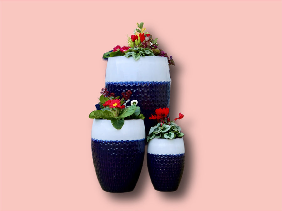 Kimi Planter Trio with plants