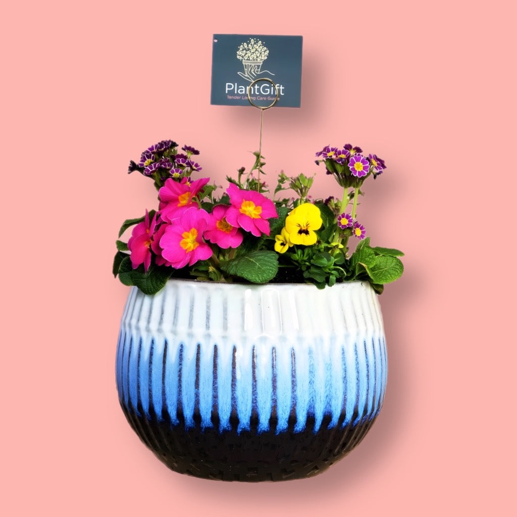 Blue Glazed Ceramic Planter Sphere with Winter Plants - Luna