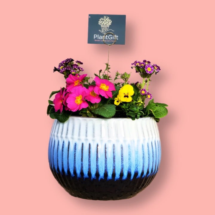 Blue Glazed Ceramic Planter Sphere with Winter Plants - Luna
