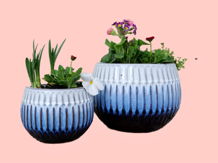 Blue Glazed Ceramic Planter Sphere with Winter Plants - Luna
