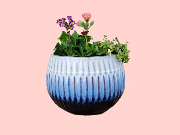 Blue Glazed Ceramic Planter Sphere with Winter Plants - Luna