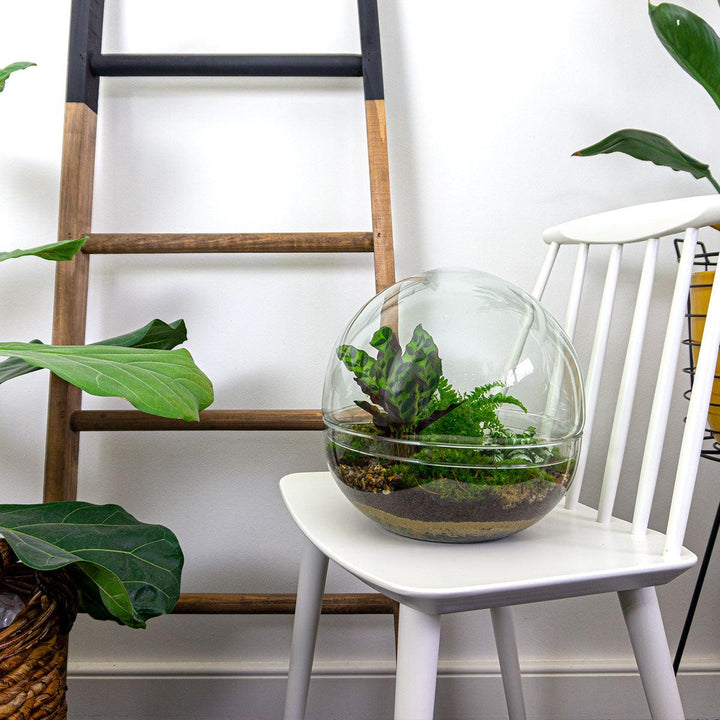 Clear glass dome terrarium with tools: rake, shovel, tweezers, scissors, by Everspring, 30 cm tall