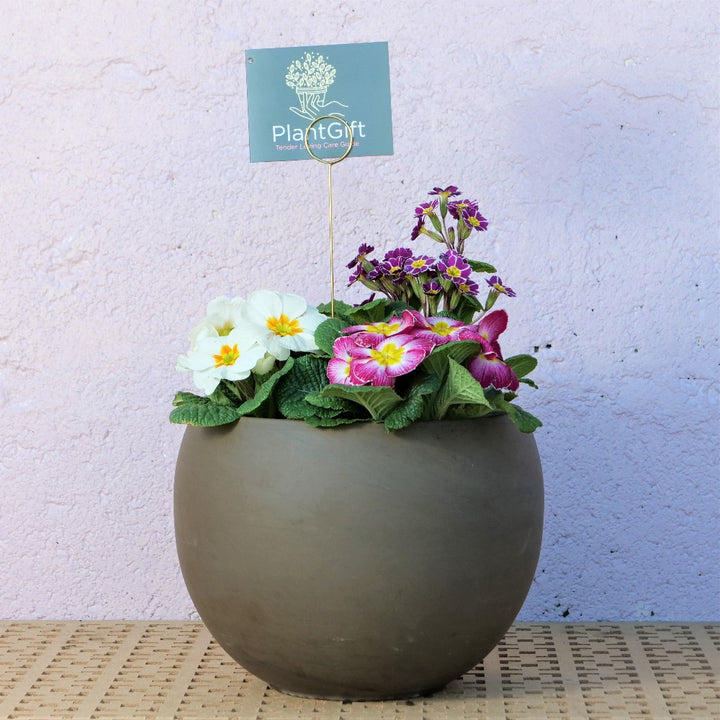 Basalt Luna Sphere Planter - Frost Proof Garden Pot with Plants