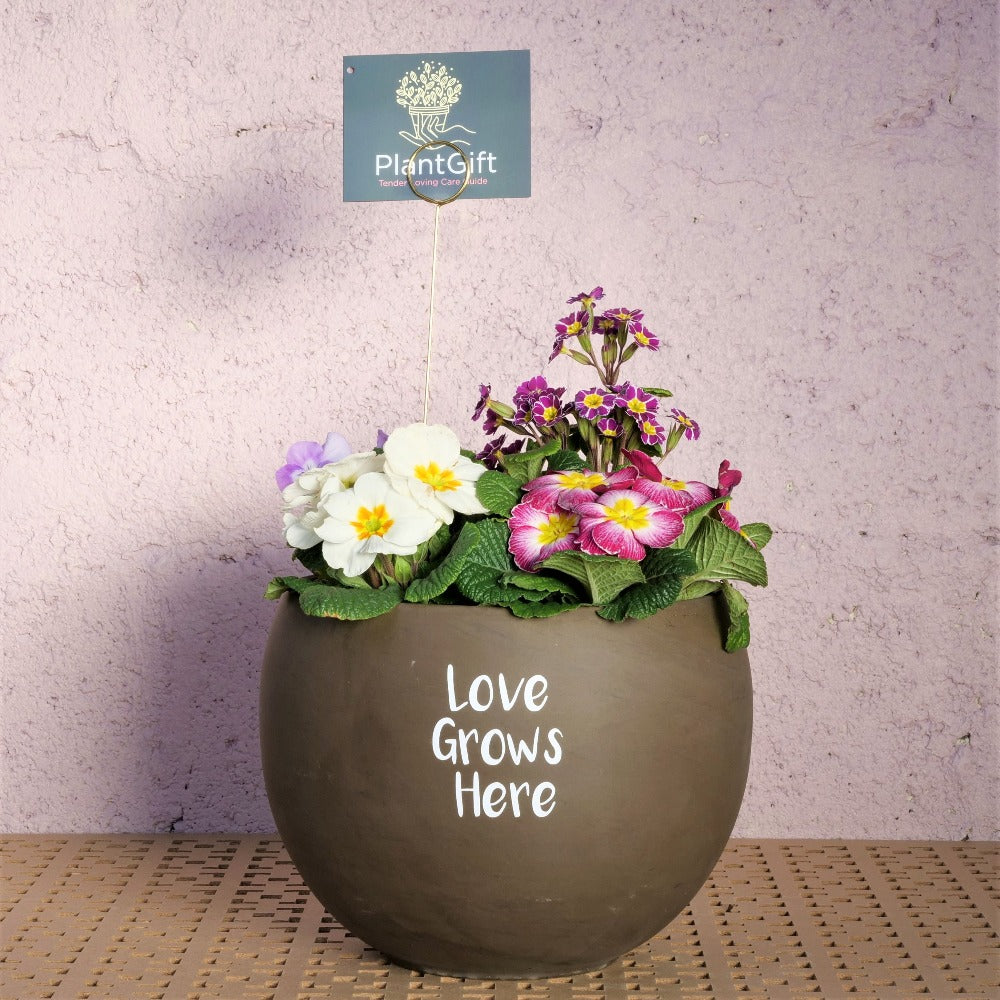 Small Basalt Luna Sphere with quote 'Love Grows Here'