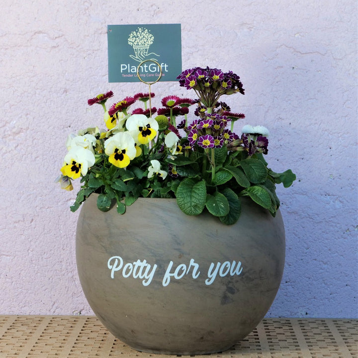 Medium Basault Luna Sphere with quote 'Potty for you'