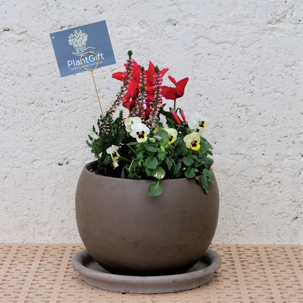 Basalt Luna Sphere Plant Pot Saucers - Frost Proof Clay Drip Trays