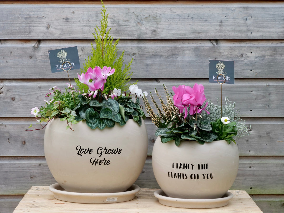 Granite Luna Sphere Saucers - Frost Proof Plant Pot Drip Trays