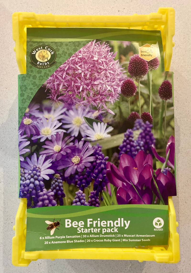 Bee Friendly Starter Pack