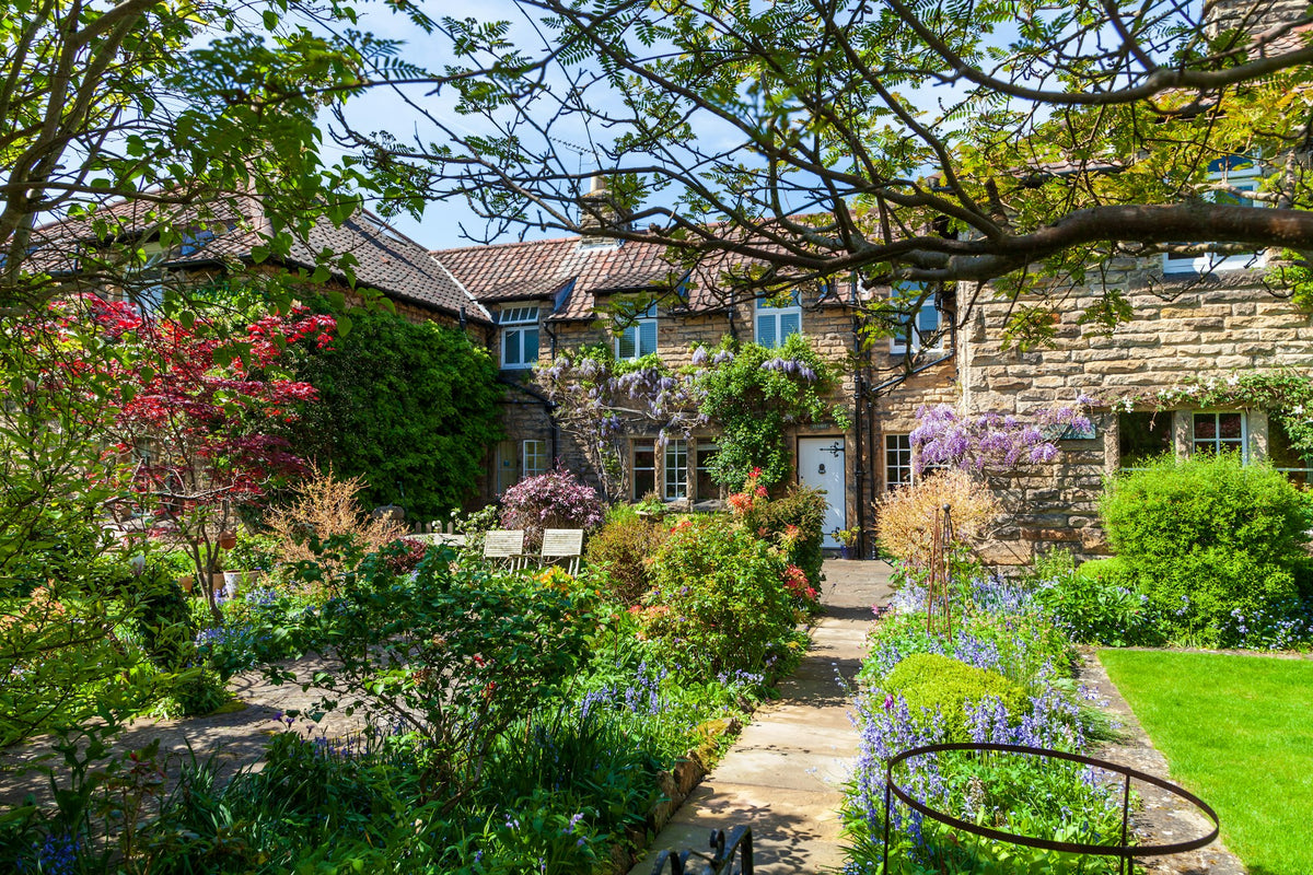 Stone cottage with wisteria and relaxed cottage garden borders