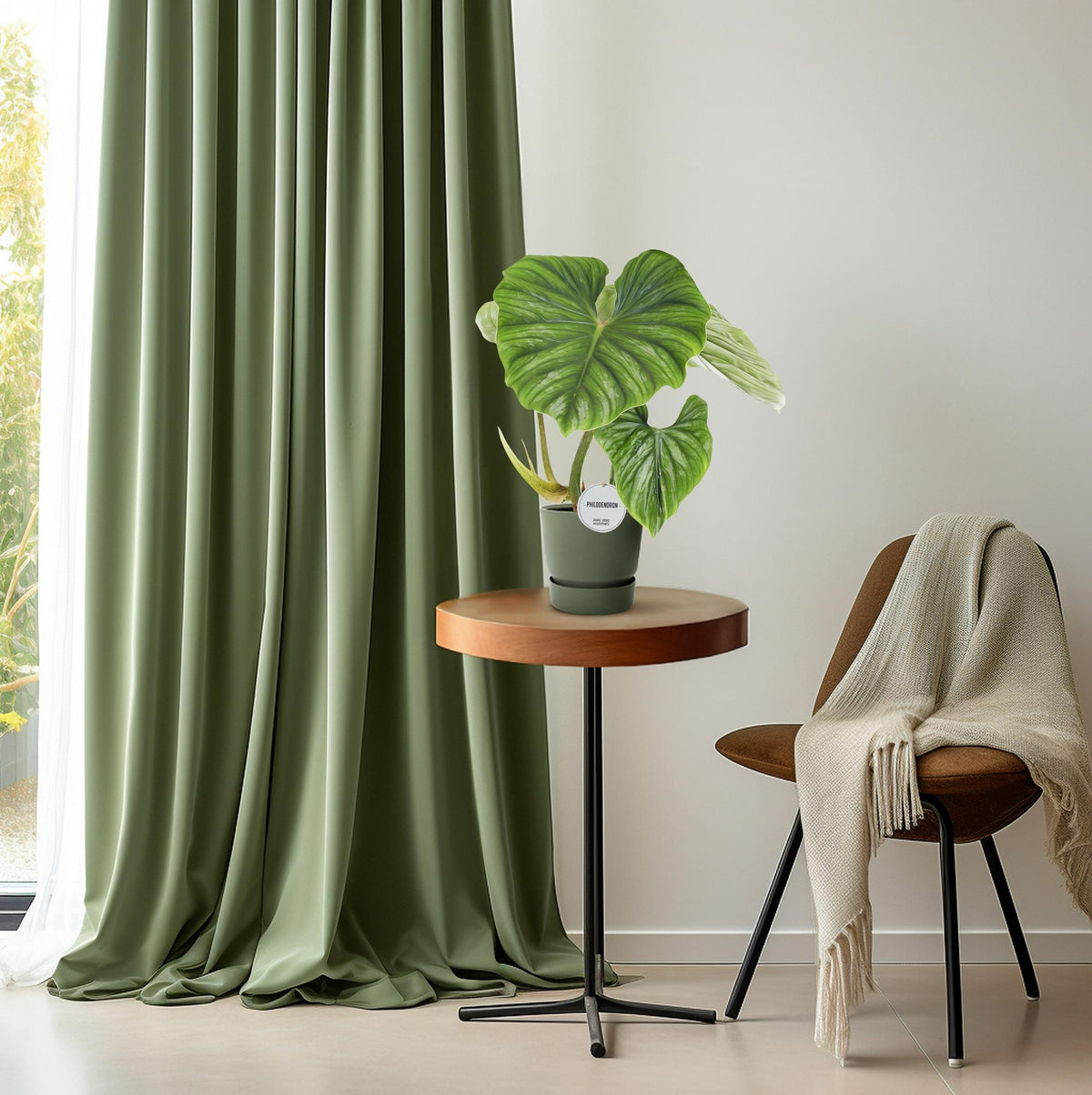 Indoor Plants — Houseplants for Every Room