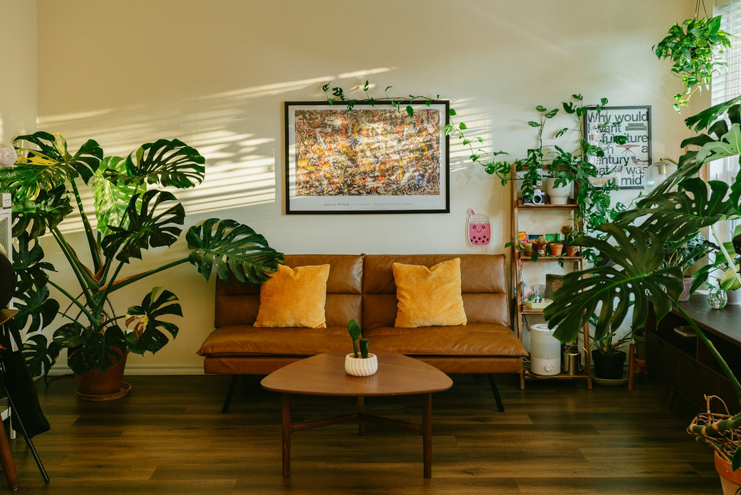 A sunlit living room with a large Monstera and other tropical houseplants