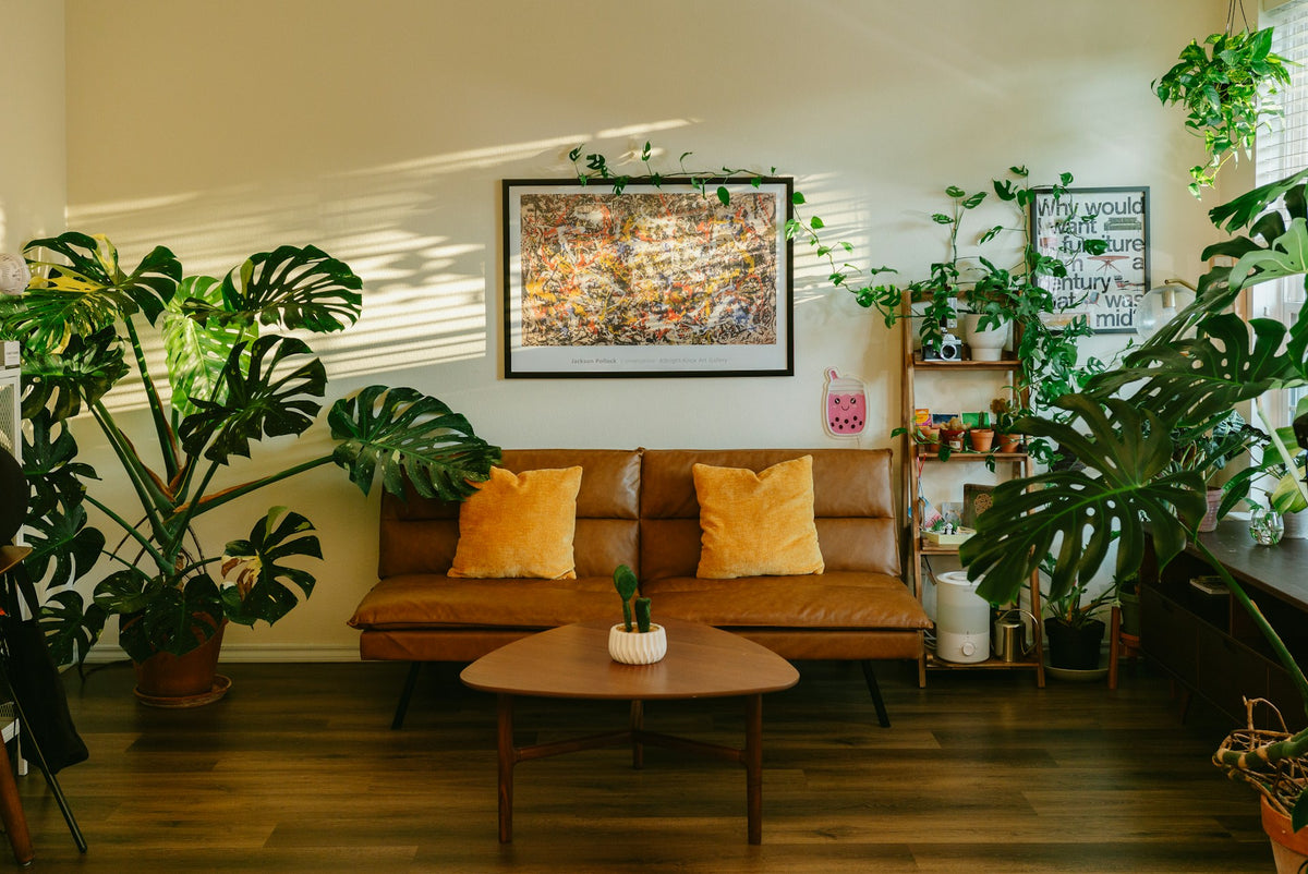 A sunlit living room with a large Monstera and other tropical houseplants