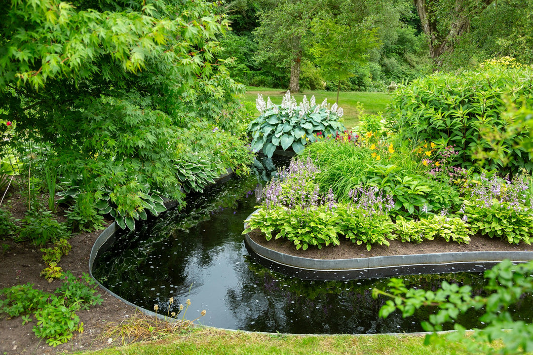 A garden pond edge with hostas and moisture-loving perennials