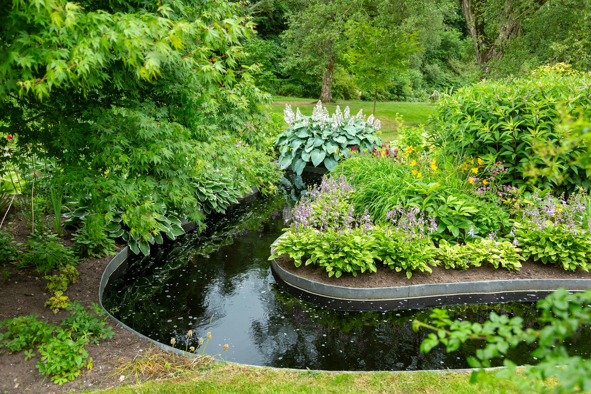 A garden pond edge with hostas and moisture-loving perennials