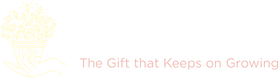 Plant Gift