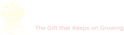 Plant Gift