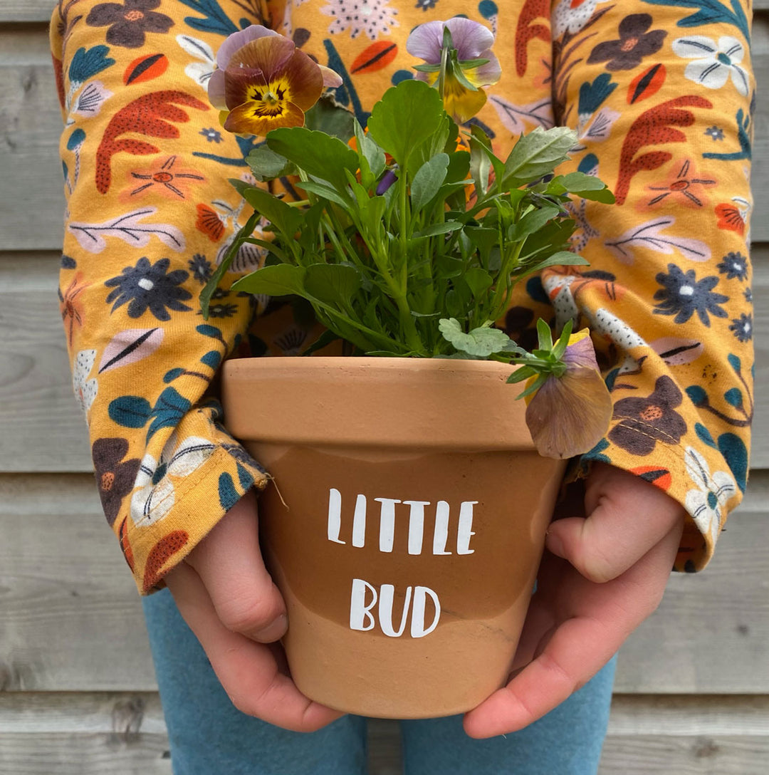 Child holding Little Bud pot