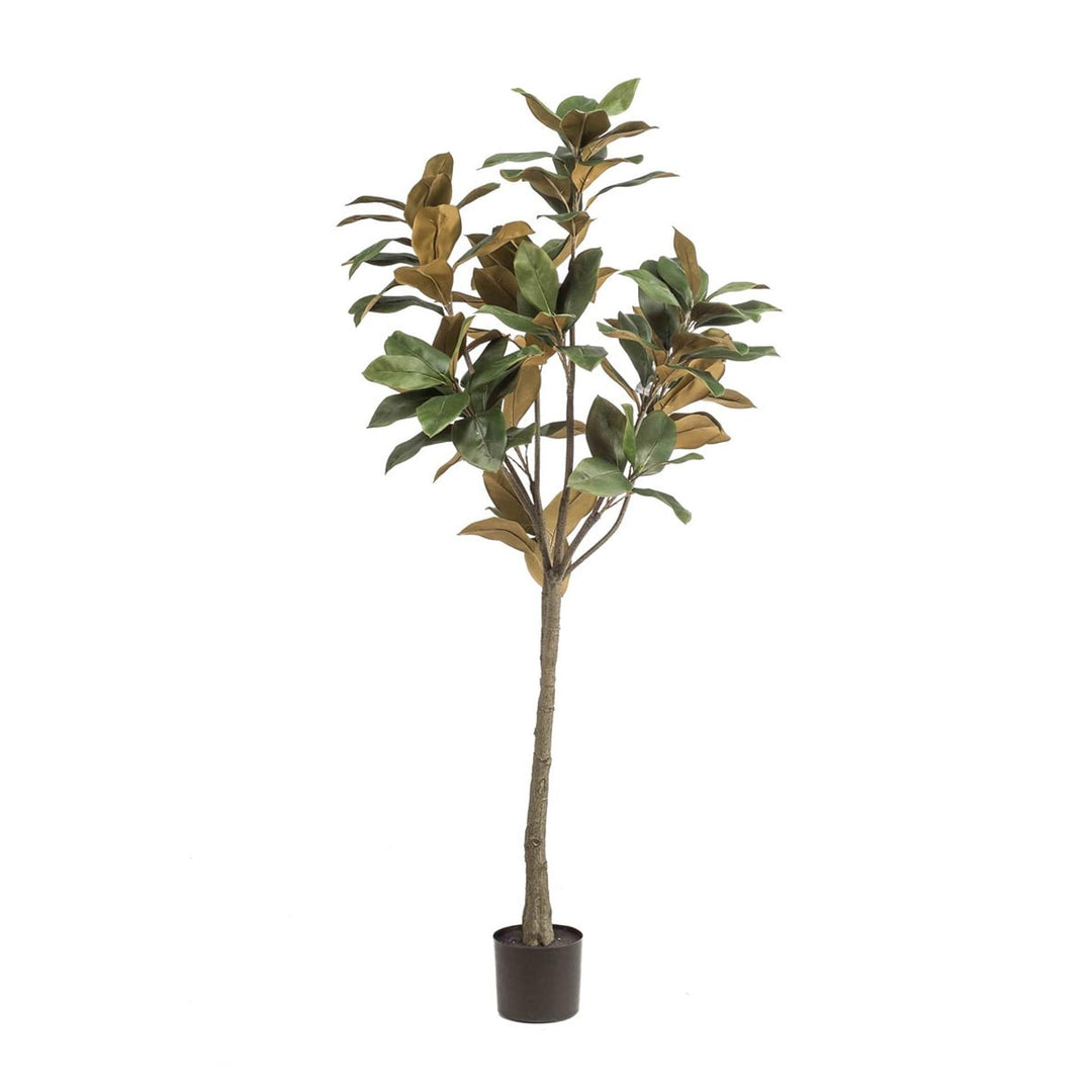 Faux Magnolia Denudata Tree | 150 cm Artificial White Flower Plant