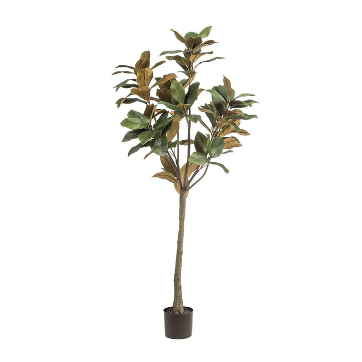 Faux Magnolia Denudata Tree | 150 cm Artificial White Flower Plant