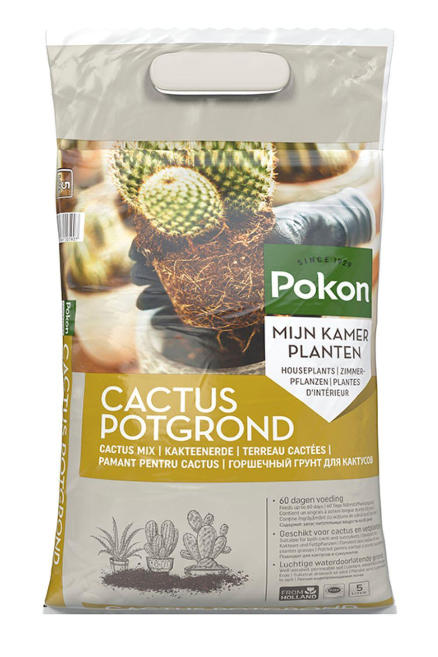 5L Pokon cactus potting soil for indoor plants with a mix designed for optimal growth