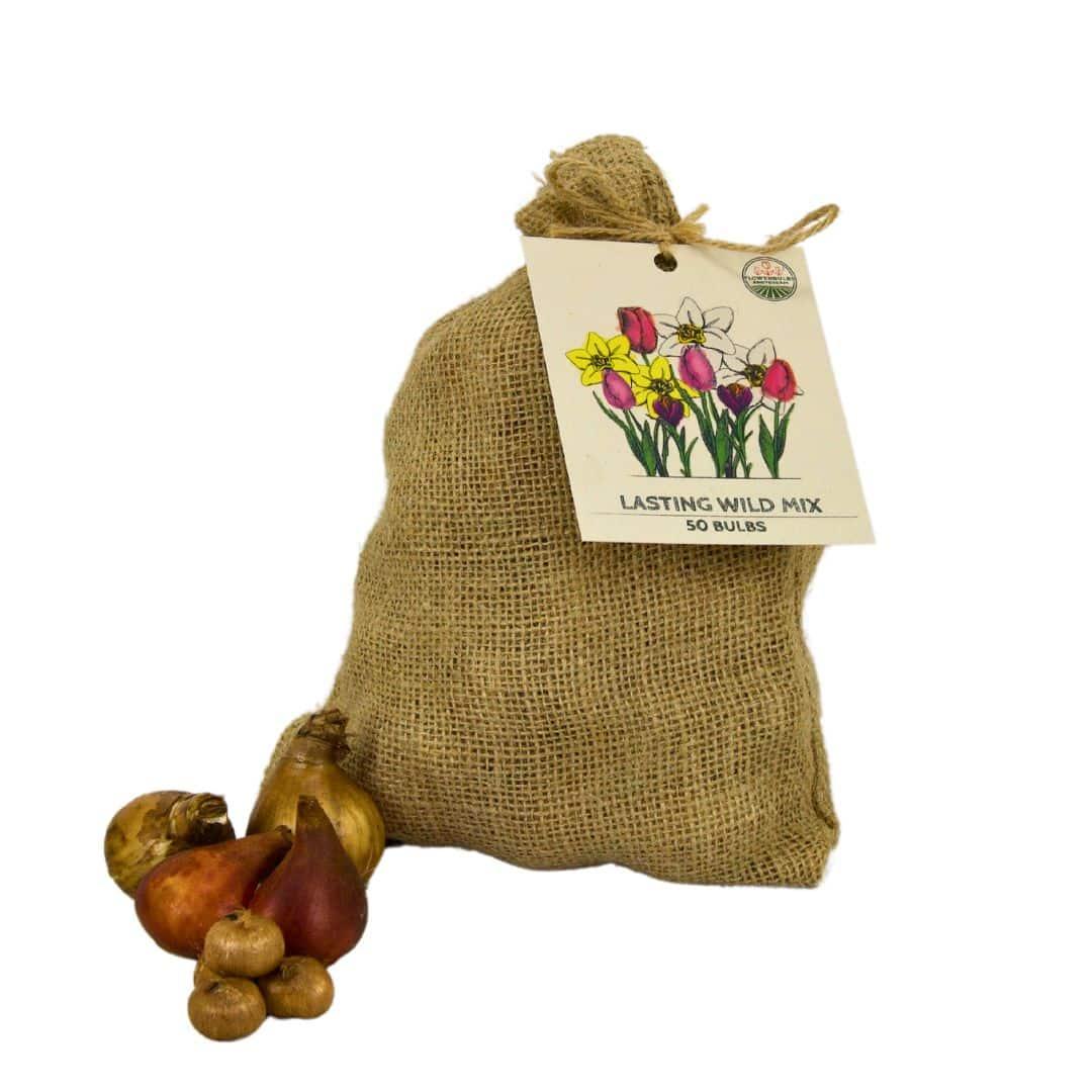 Medium Lasting Wild Mix - 50 Bulbs Sustainable Value Pack