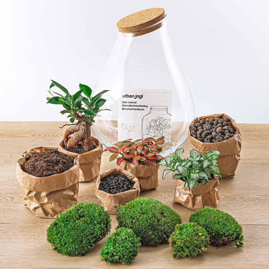DIY terrarium - Drop XL - ↕ 37 cm - Rake + Shovel + Tweezer + Scissors