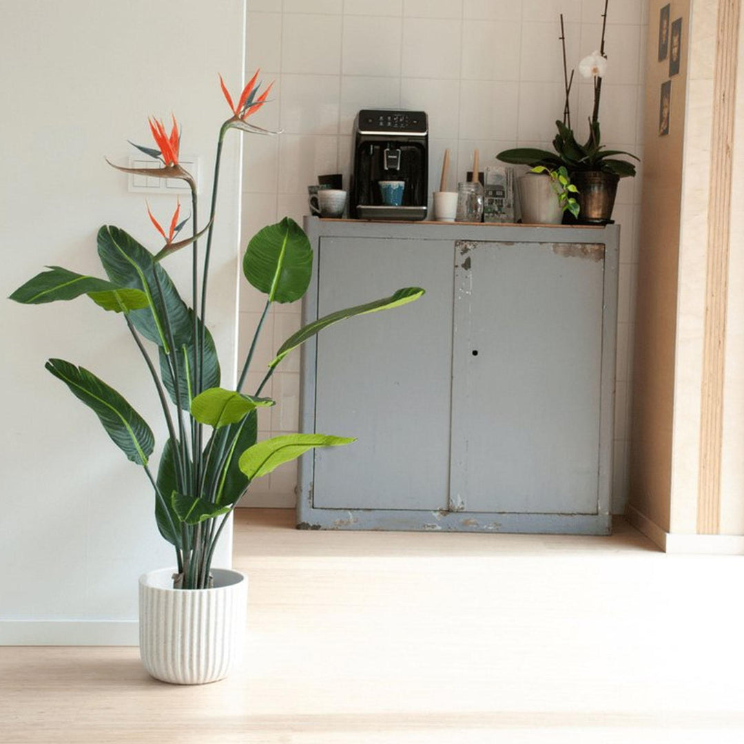 Faux Strelitzia Artificial Plant | 120 cm Tropical Paradise Plant