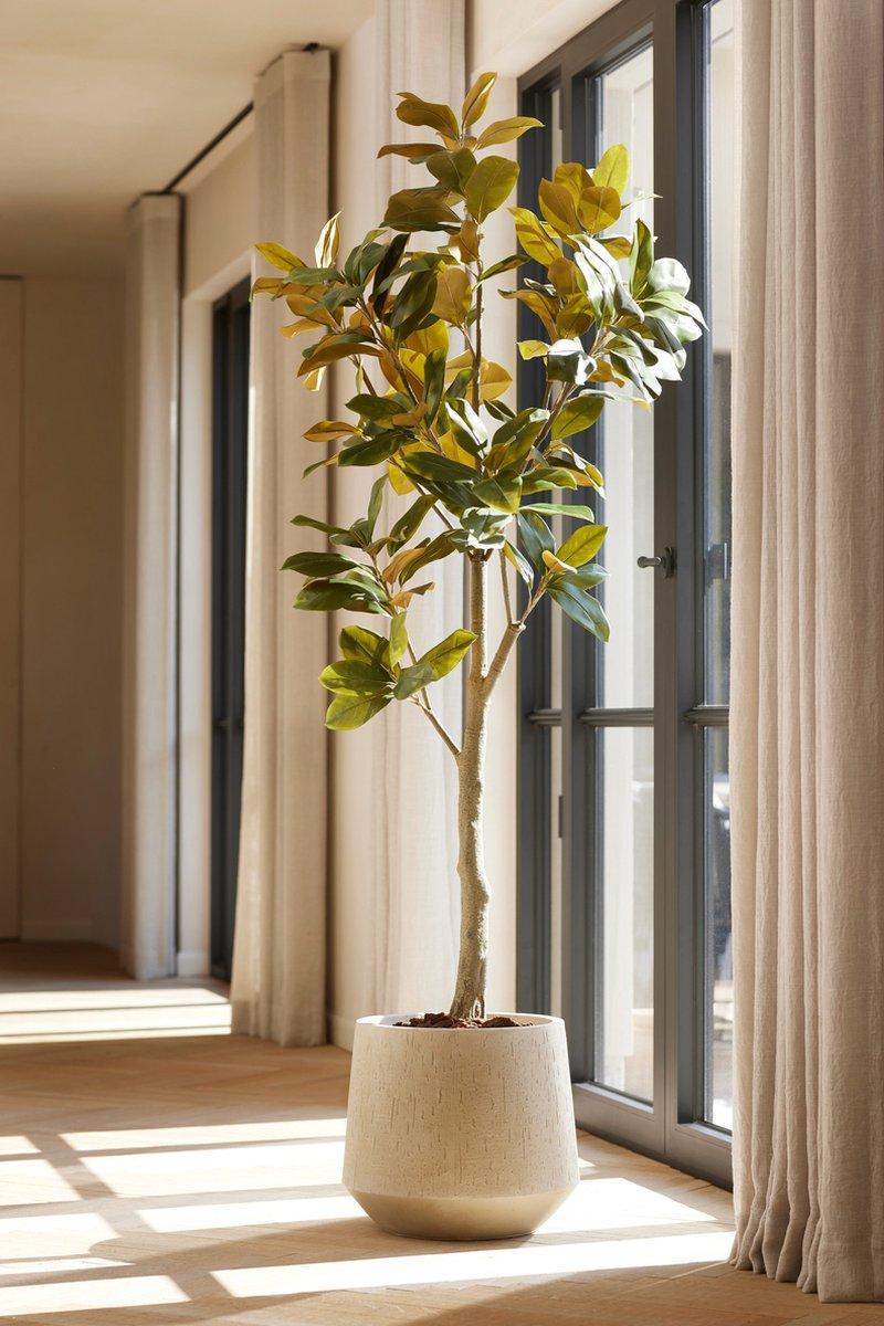 Faux Magnolia Denudata Tree | 150 cm Artificial White Flower Plant