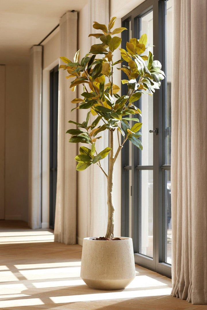 Faux Magnolia Denudata Tree | 150 cm Artificial White Flower Plant