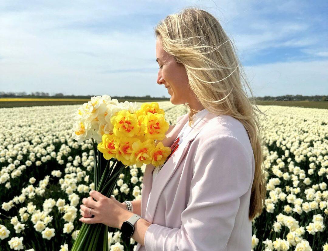 Medium Narcissus Mix - 50 Bulb Sustainable Value Pack