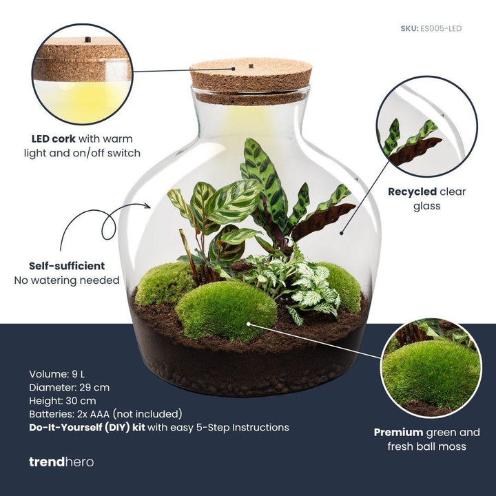 DIY Terrarium Kit - 'Fat Joe' - 30cm - with Planting Tools