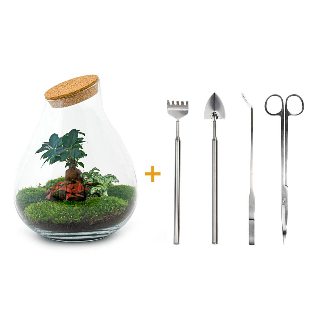 DIY terrarium - Drop XL - ↕ 37 cm - Rake + Shovel + Tweezer + Scissors