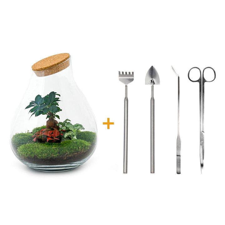DIY terrarium - Drop XL - ↕ 37 cm - Rake + Shovel + Tweezer + Scissors