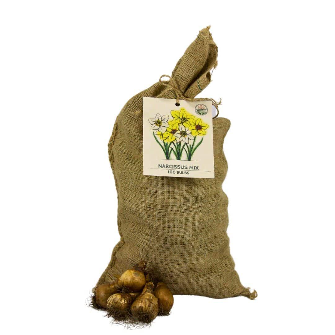 Super Narcissus Mix - 100 Bulbs Sustainable Value Pack