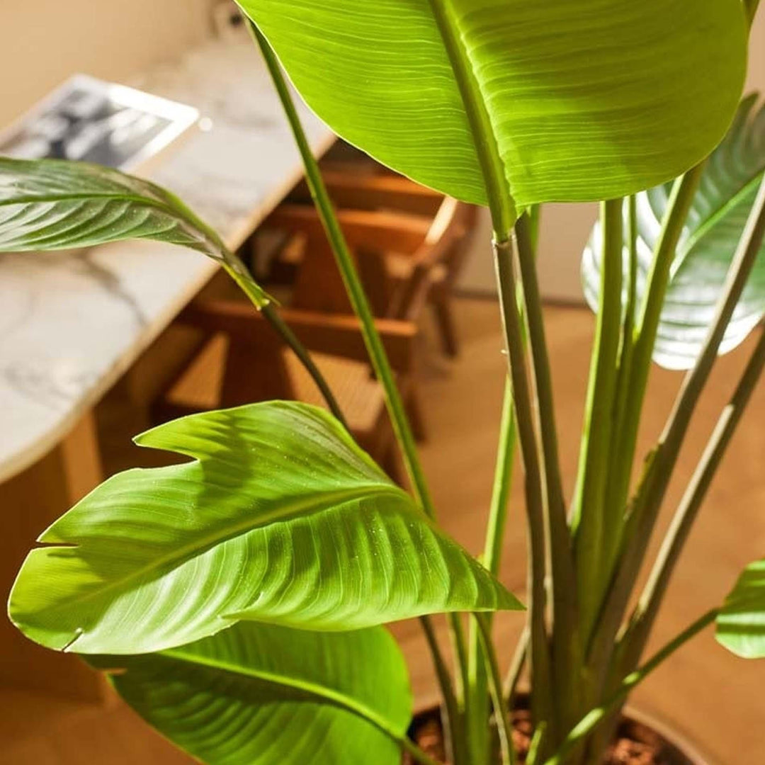 Large Faux Strelitzia Nicolai Artificial Plant | 180 cm (6 ft) Tropical Home Decor