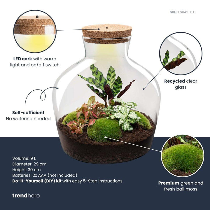 DIY Terrarium Kit - 'Fat Joe' Red - 30cm - with Planting Tools