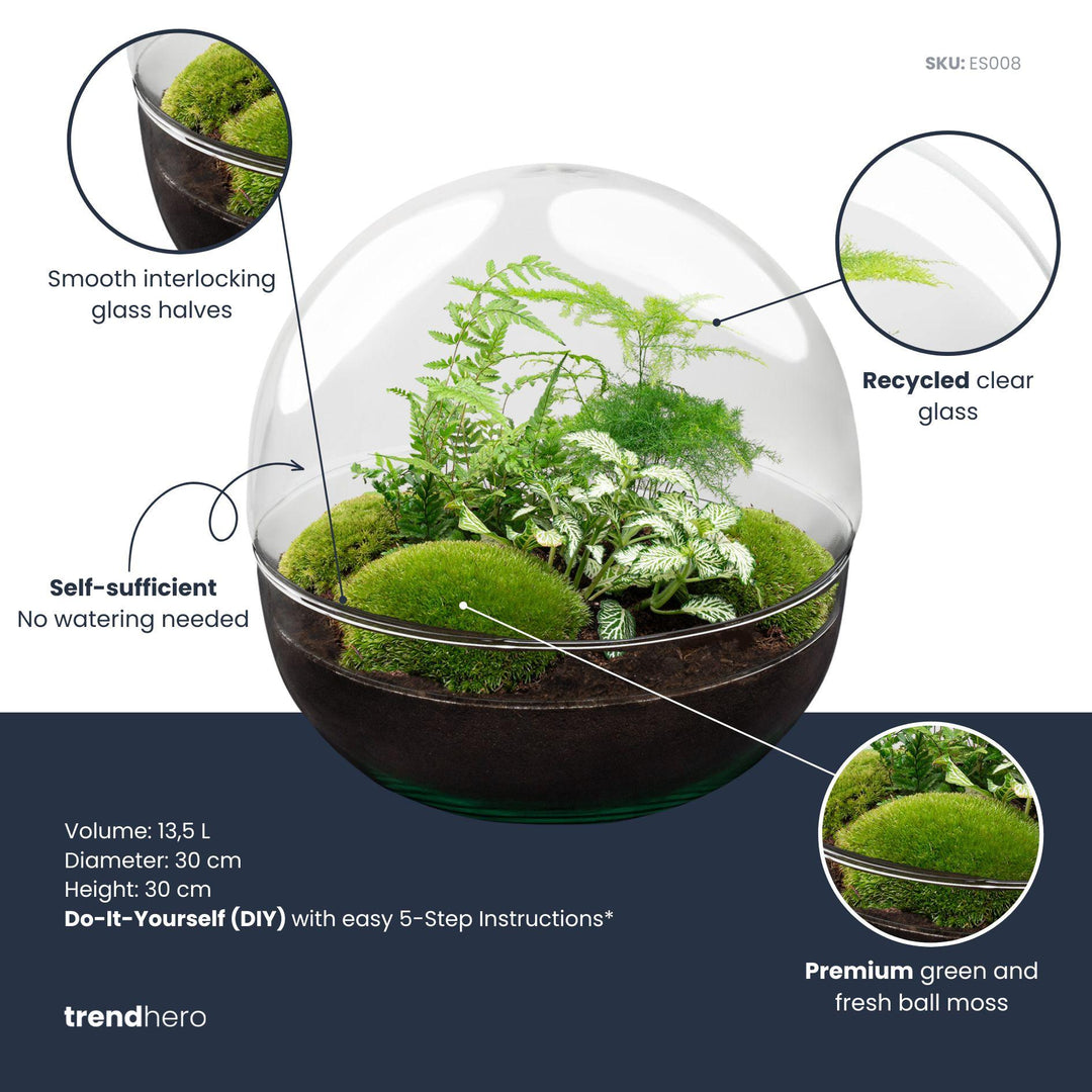 DIY Terrarium Kit - Dome XL - 30cm - with Planting Tools
