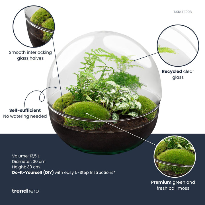 DIY Terrarium Kit - Dome XL - 30cm - with Planting Tools