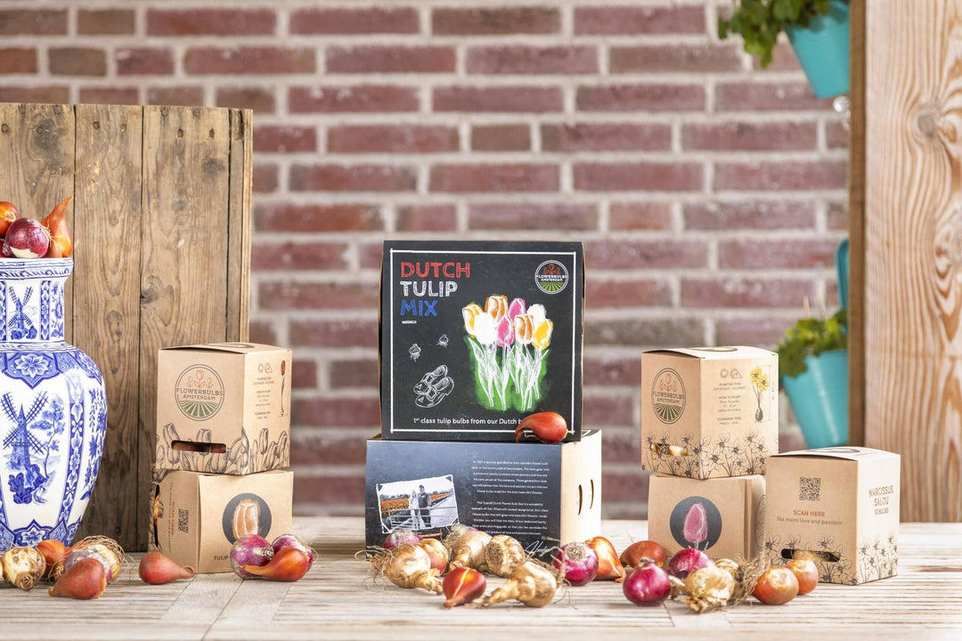 Dutch Tulip Mix - Luxury 40 Set