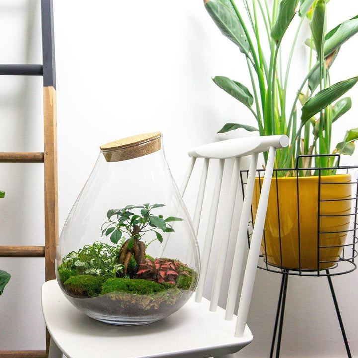 DIY terrarium - Drop XL - ↕ 37 cm - Rake + Shovel + Tweezer + Scissors