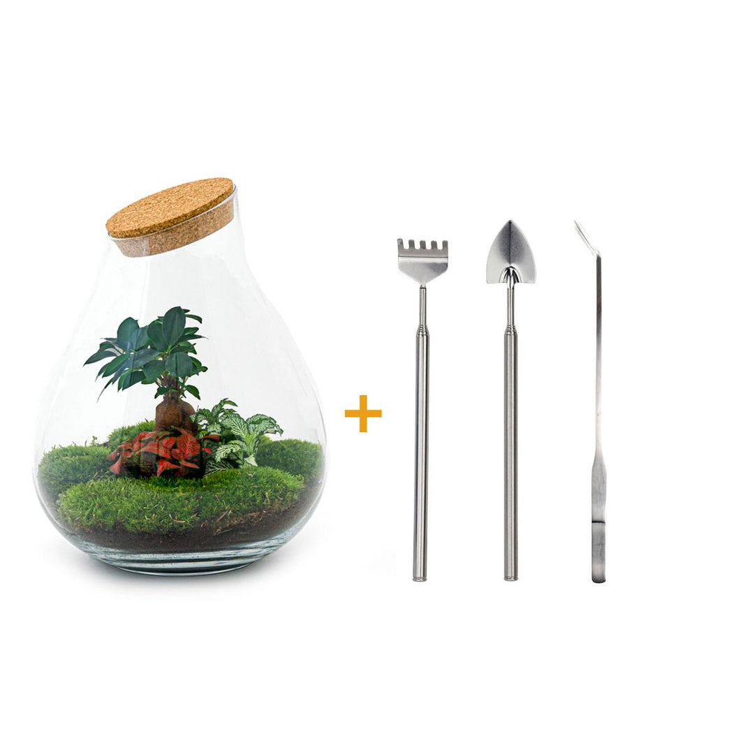 DIY terrarium - Drop XL - ↕ 37 cm - Rake + Shovel + Tweezer