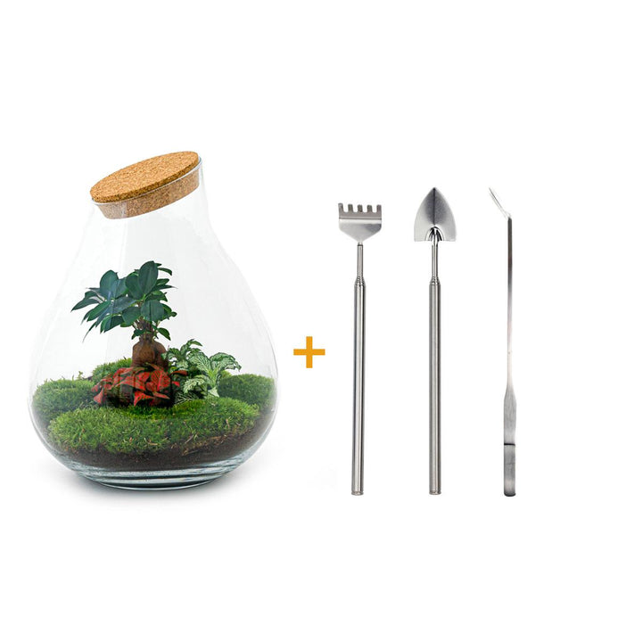DIY terrarium - Drop XL - ↕ 37 cm - Rake + Shovel + Tweezer