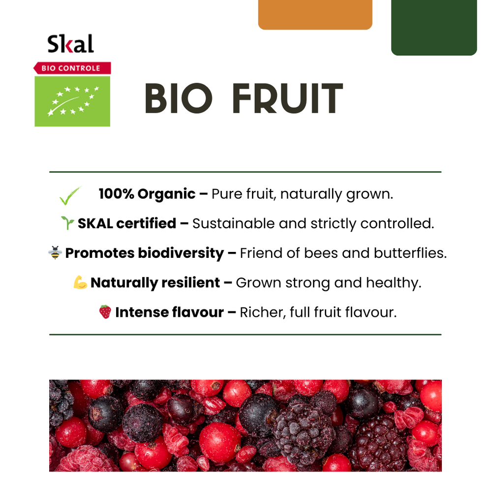 Zomervruchten BIO fruit plants mix set of 4 varieties by Everspring, featuring vibrant, organic fruit plants.