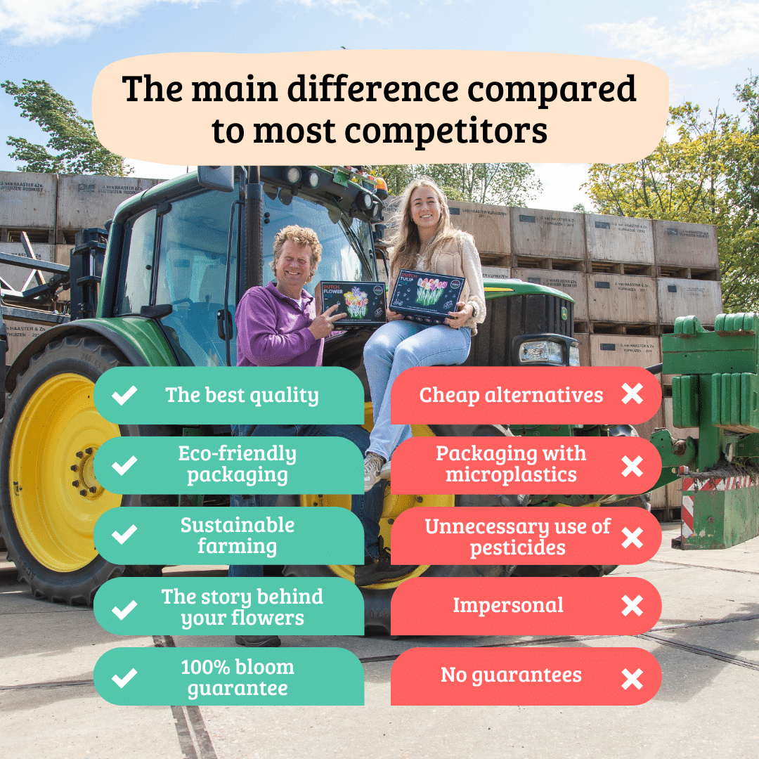 Dutch Tulip Mix - 90 Bulbs Luxury Large Box