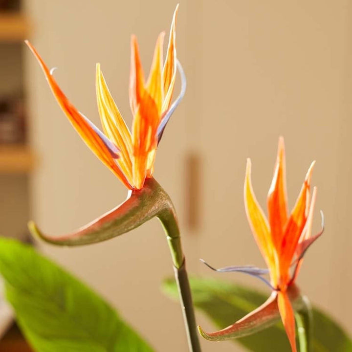 Faux Strelitzia Artificial Plant | 120 cm Tropical Paradise Plant