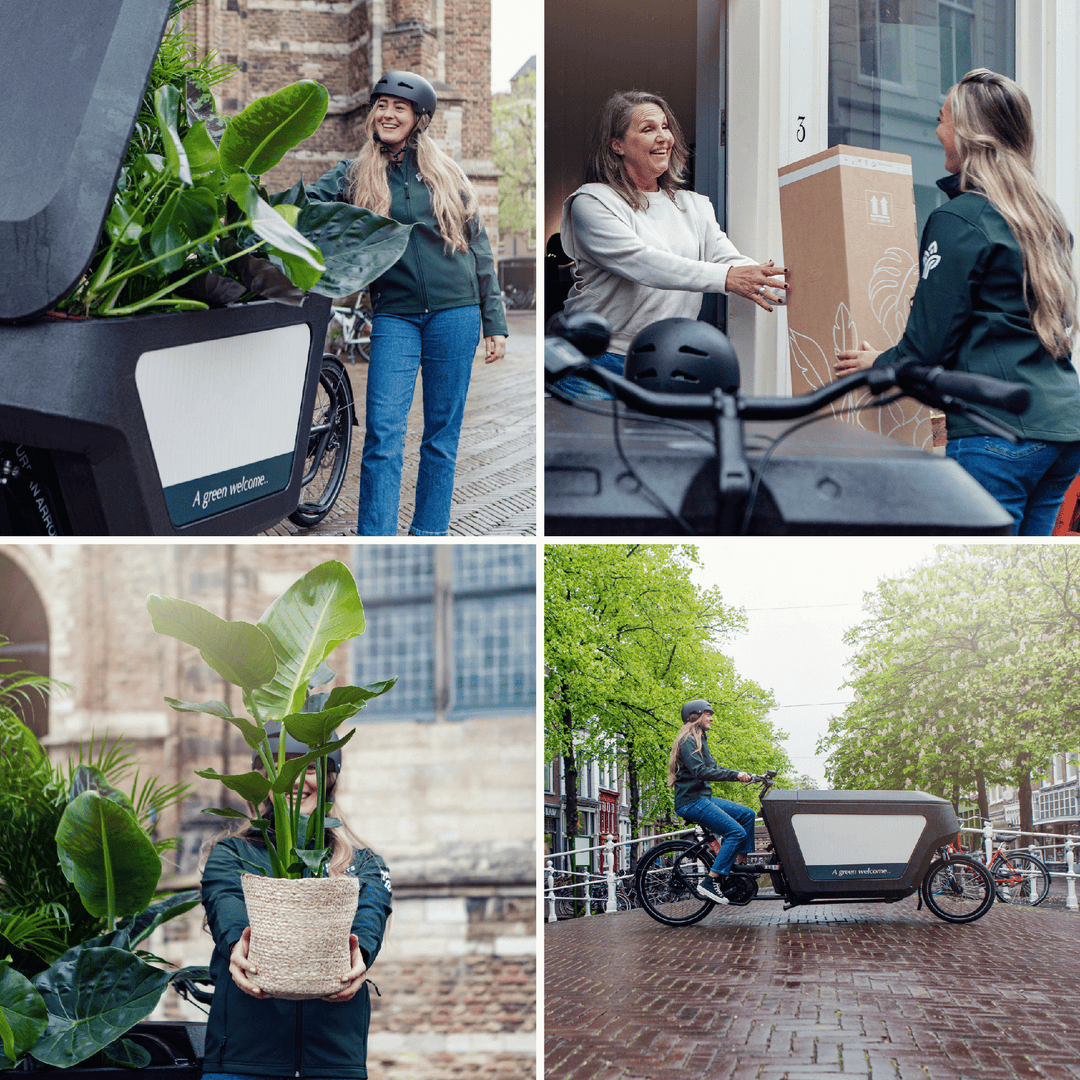 Surprise box - Ø12cm - ↕25cm - x5