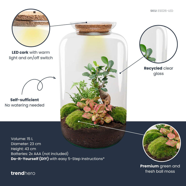 DIY Terrarium Kit - 'Sven' Bonsai - 43cm - with Planting Tools