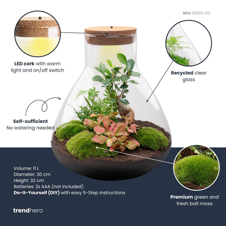 DIY Plant Terrarium with Light – Sam XL Bonsai – Ø30cm ↕32cm